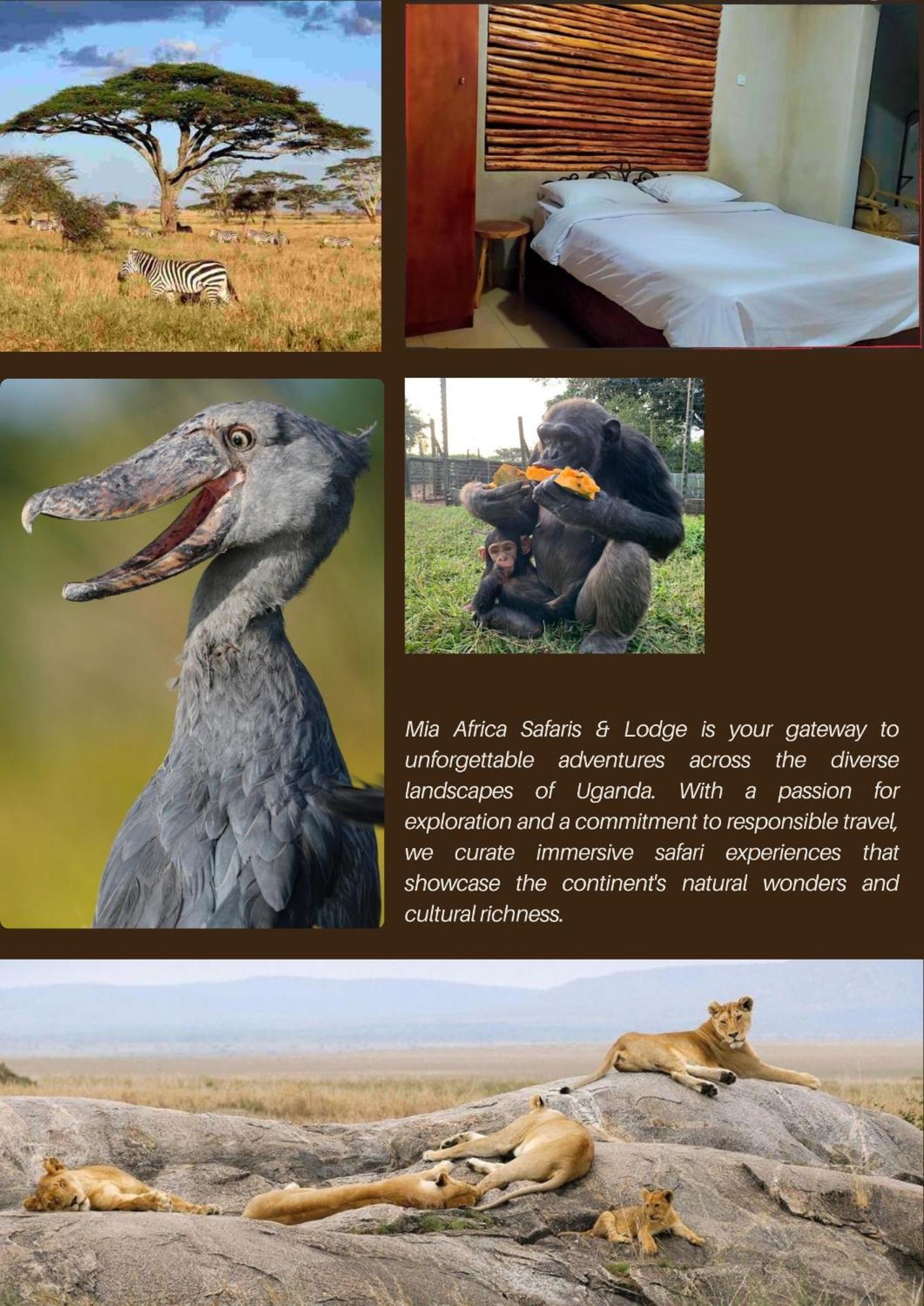 Mia Safari Lodge And Restaurant Entebbe Kültér fotó